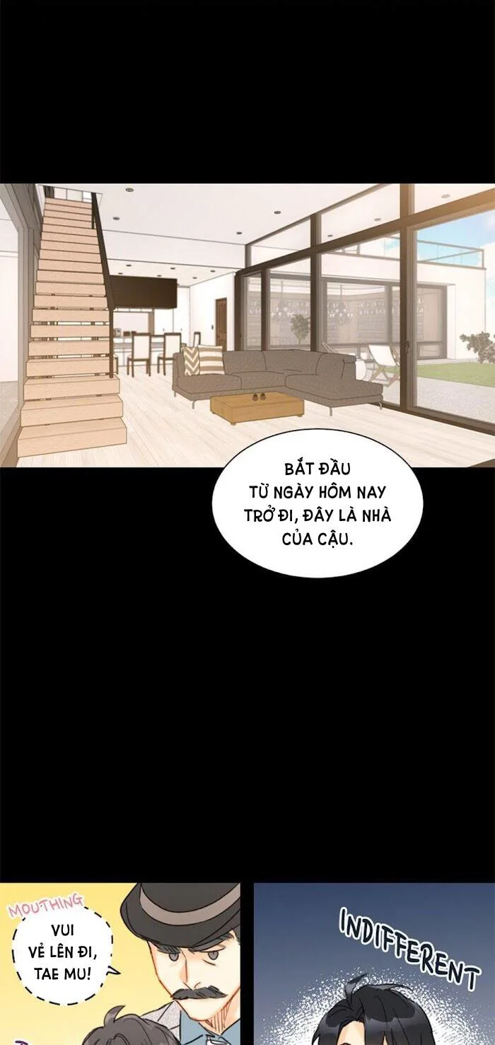 Hẹn Hò Nơi Công Sở chương 23 - trang 4