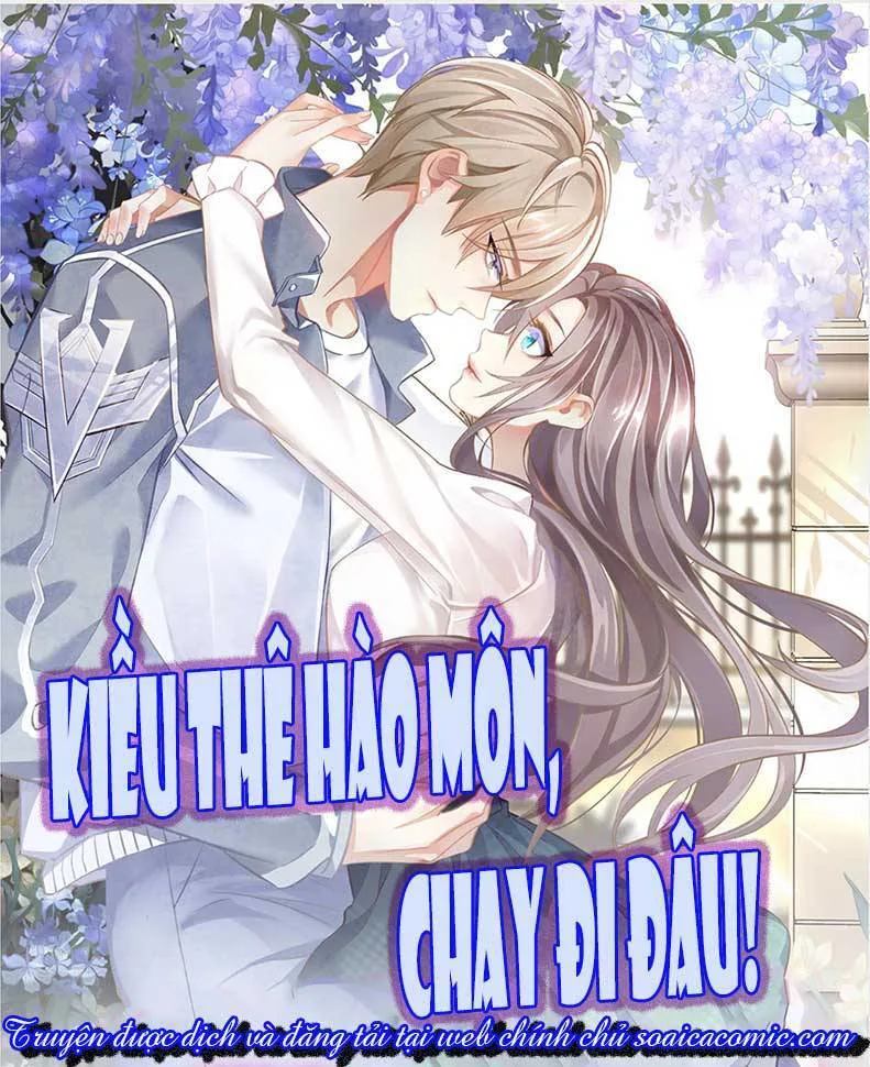 Kiều Thê Hào Môn Chạy Đi Đâu chương 6 - trang 1