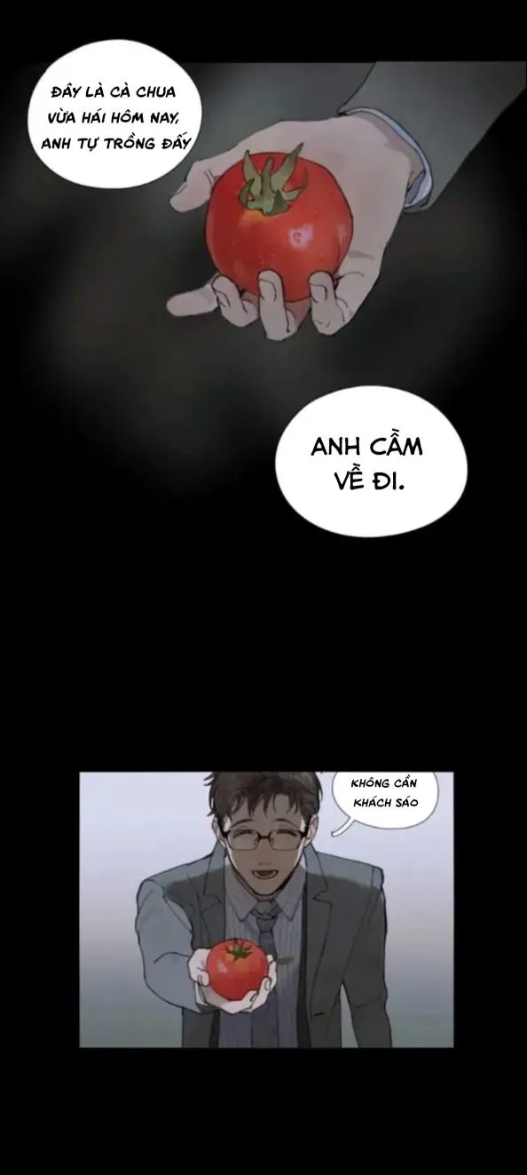 Tơ Nhện chương 2 - trang 42