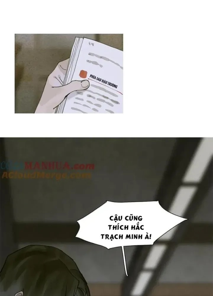 Tơ Nhện chương 11 - trang 49