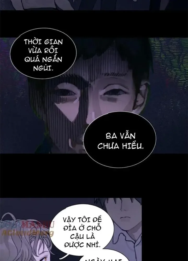 Tơ Nhện chương 12 - trang 23