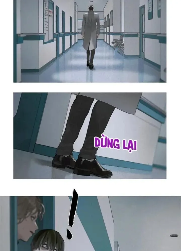 Tơ Nhện chương 24 - trang 25