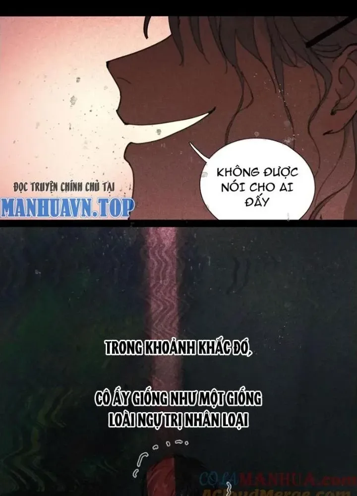 Tơ Nhện chương 27 - trang 51