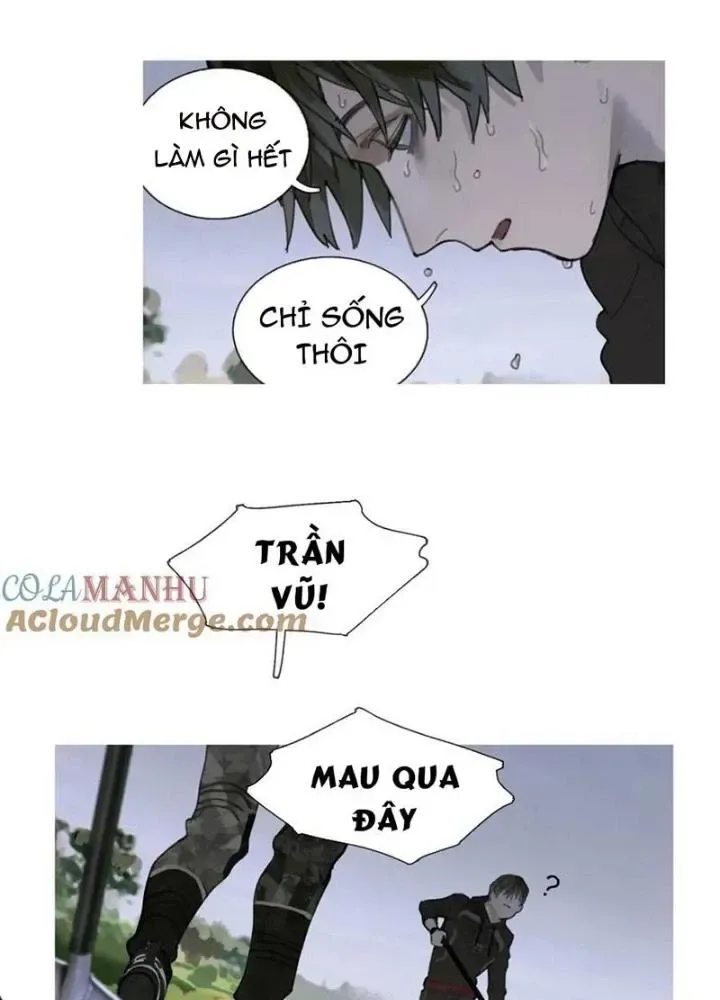 Tơ Nhện chương 31 - trang 27
