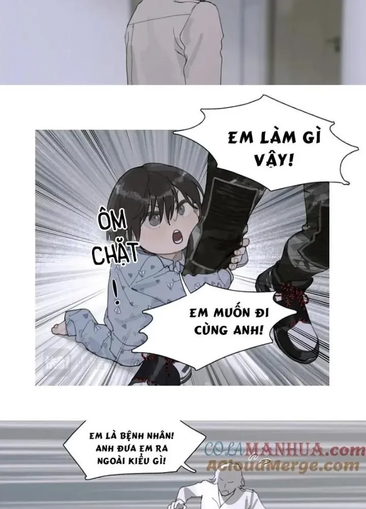 Tơ Nhện chương 40 - trang 17