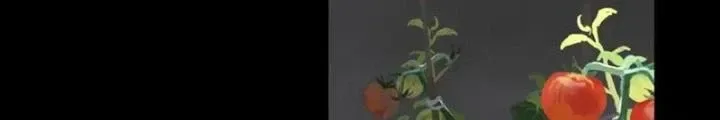 Tơ Nhện chương 45 - trang 32