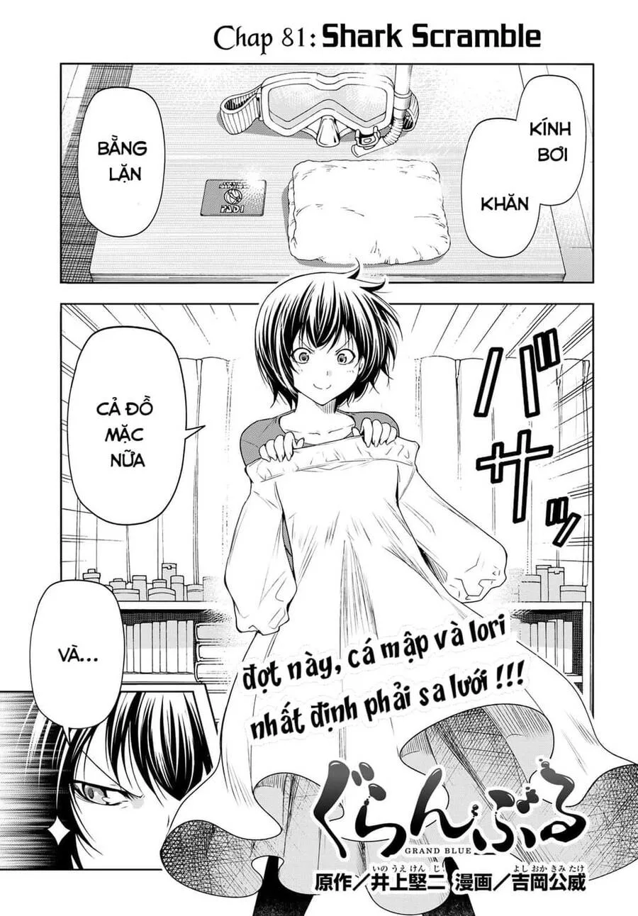 Grand Blue - Cô Gái Thích Lặn chương 81 - trang 1