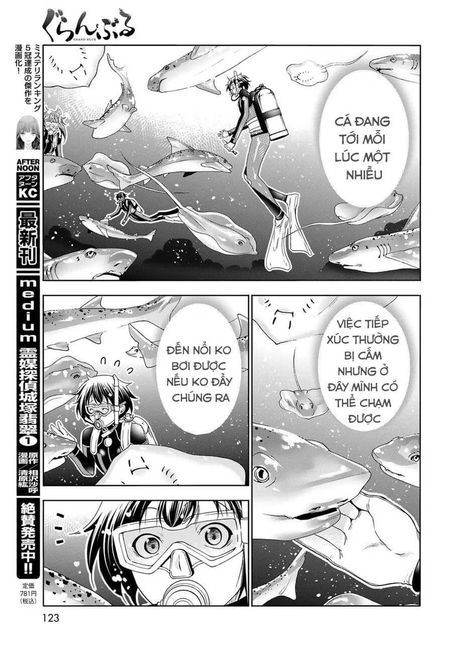 Grand Blue - Cô Gái Thích Lặn chương 81 - trang 31