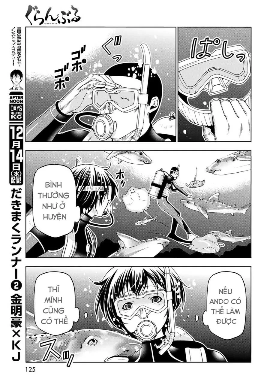 Grand Blue - Cô Gái Thích Lặn chương 81 - trang 33