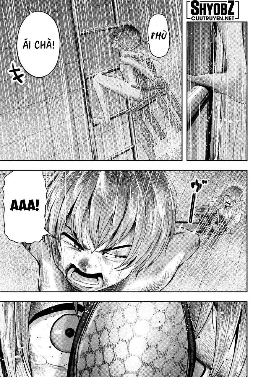 Nezumi No Hatsukoi chương 17 - trang 13