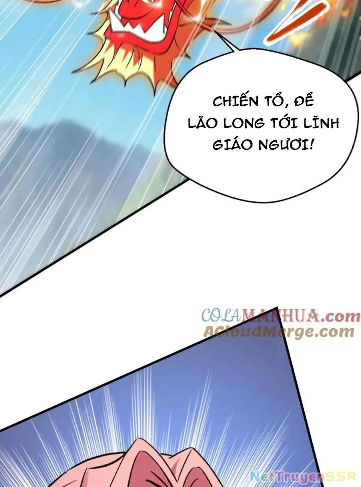 Vô Địch Đốn Ngộ chương 311 - trang 11