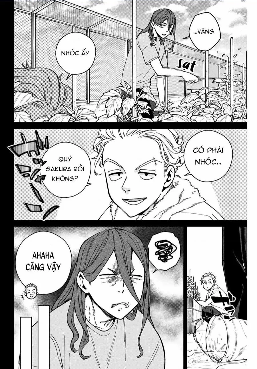 Wind Breaker (Nii Satoru) chương 112 - trang 11