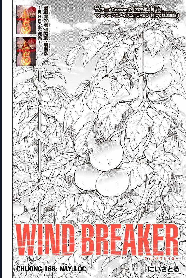 Wind Breaker (Nii Satoru) chương 168 - trang 3