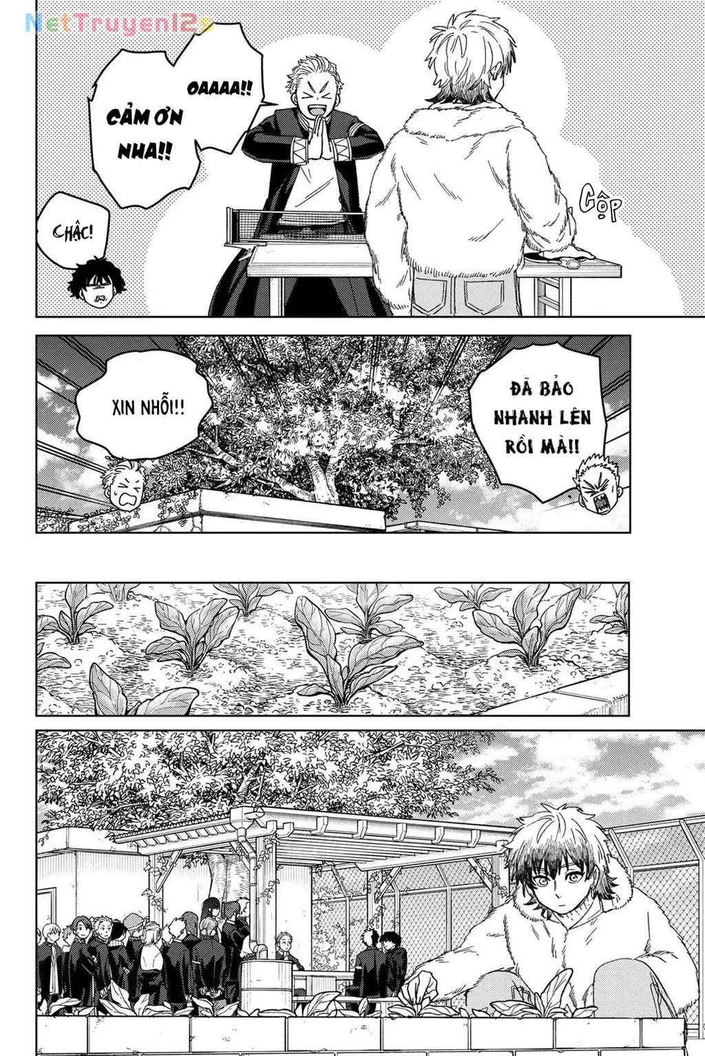 Wind Breaker (Nii Satoru) chương 215 - trang 17