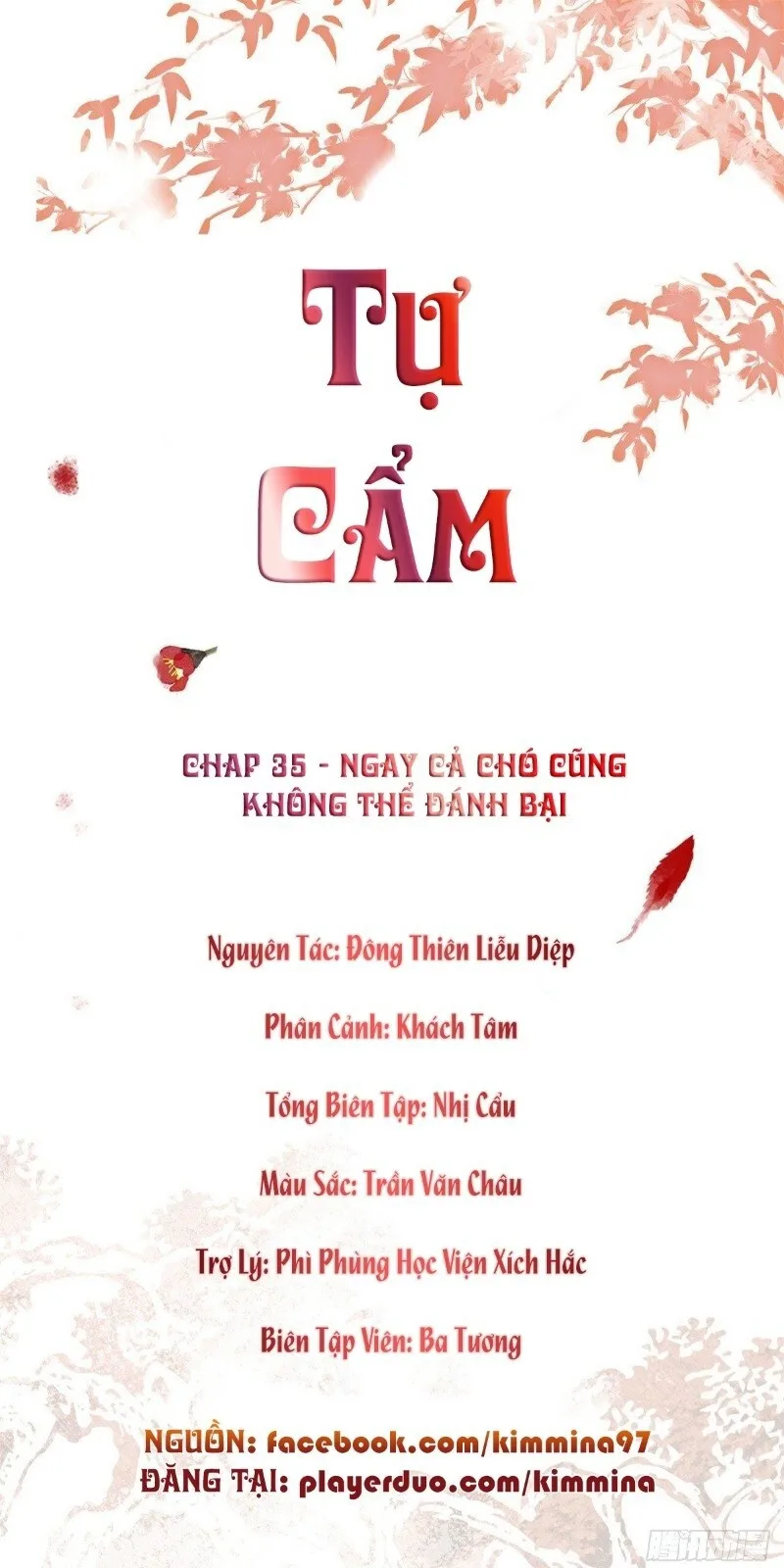 Tự Cẩm chương 35 - trang 2