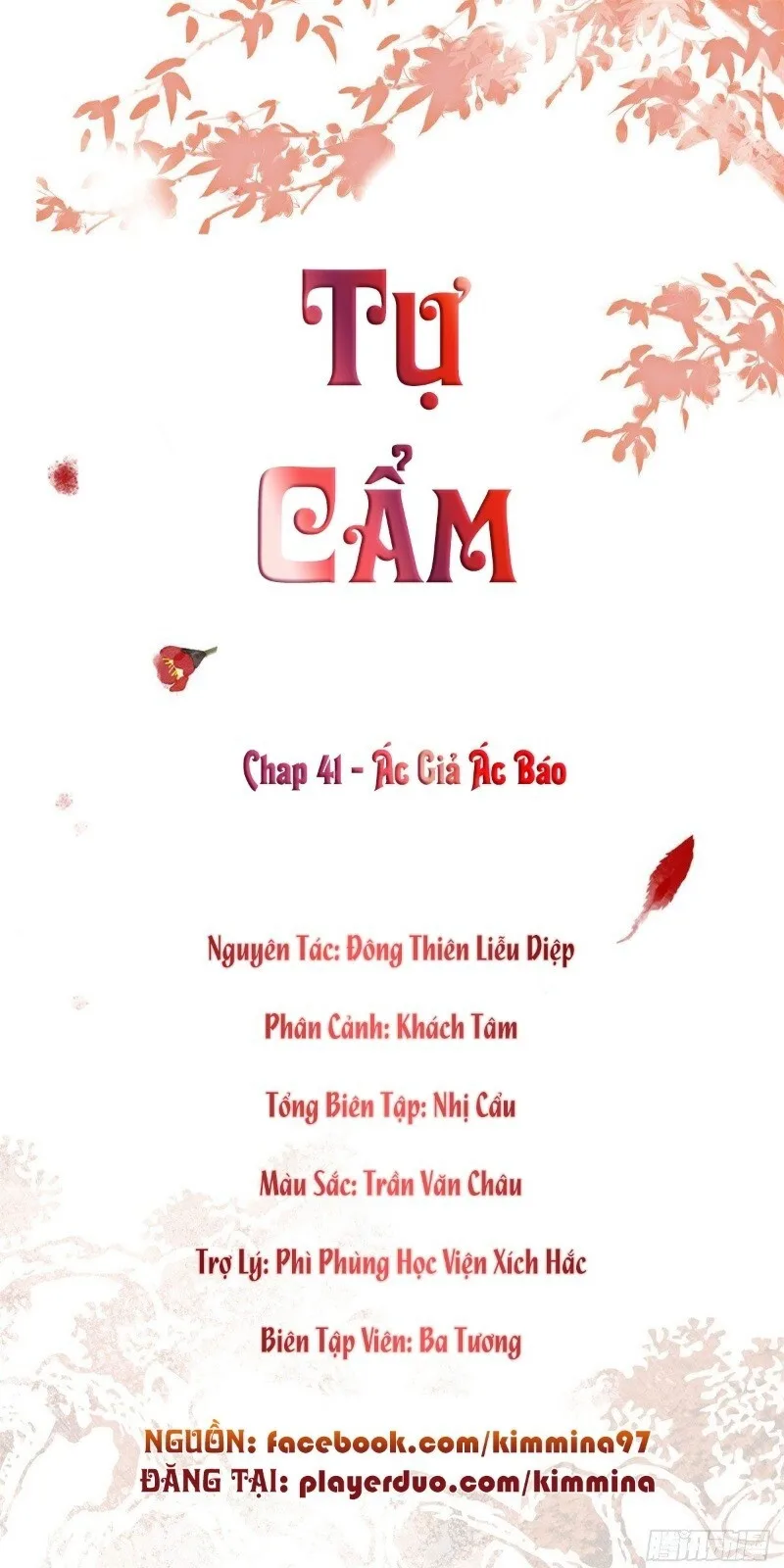 Tự Cẩm chương 41 - trang 2