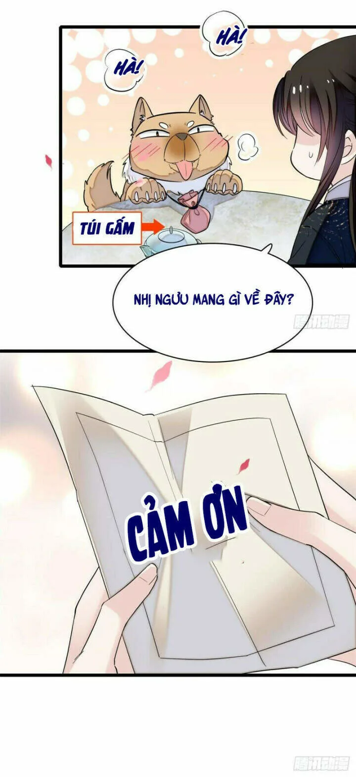 Tự Cẩm chương 76 - trang 14