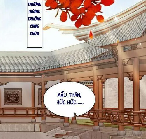 Tự Cẩm chương 132 - trang 11