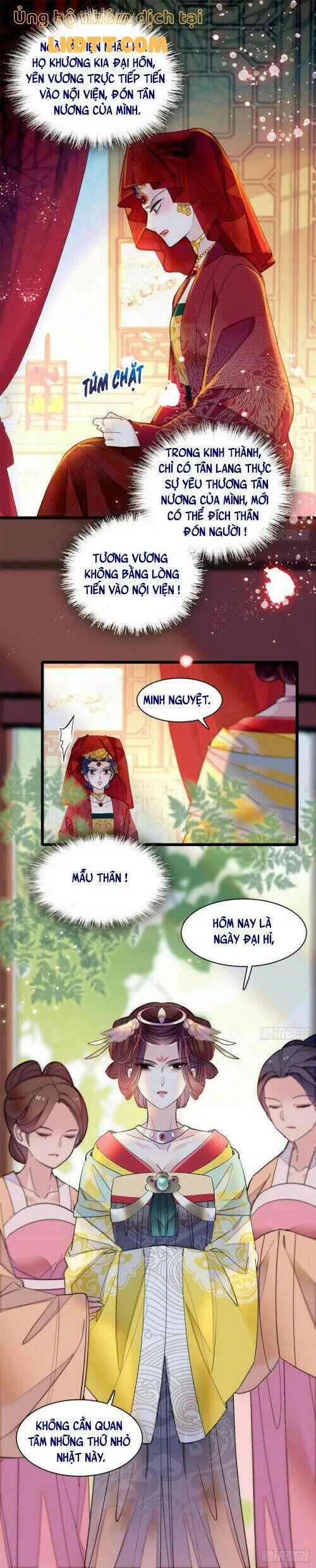 Tự Cẩm chương 152 - trang 3