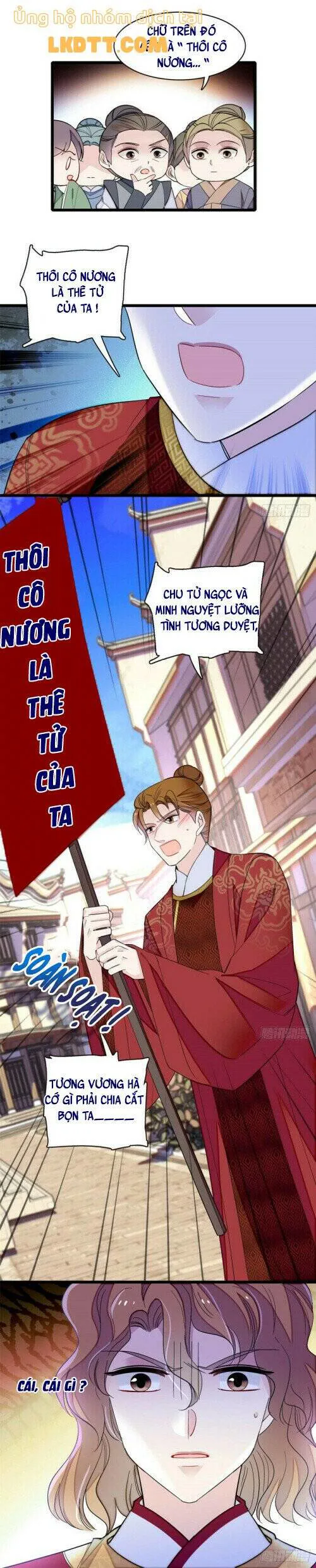 Tự Cẩm chương 152 - trang 11