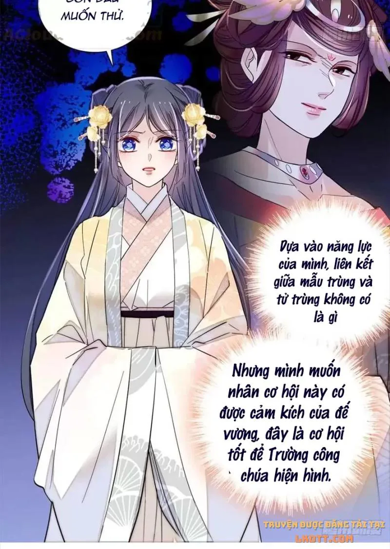 Tự Cẩm chương 197 - trang 38