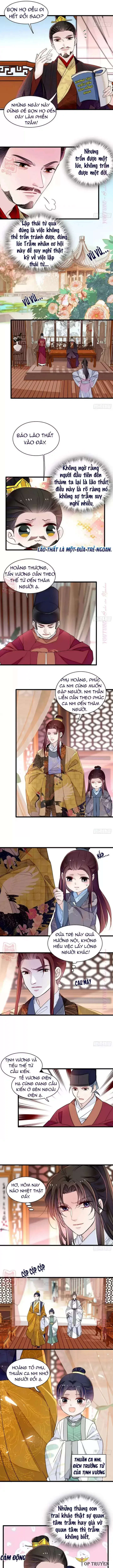 Tự Cẩm chương 208 - trang 3
