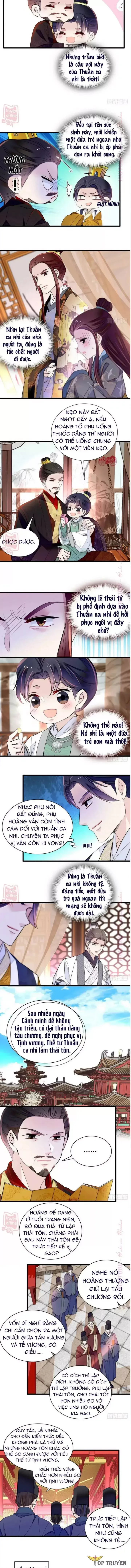 Tự Cẩm chương 208 - trang 4