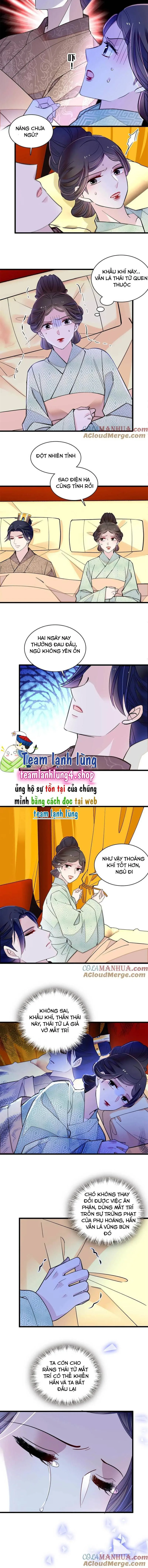 Tự Cẩm chương 245 - trang 6