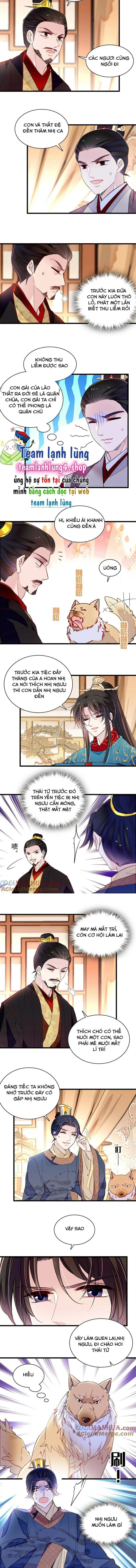 Tự Cẩm chương 246 - trang 6