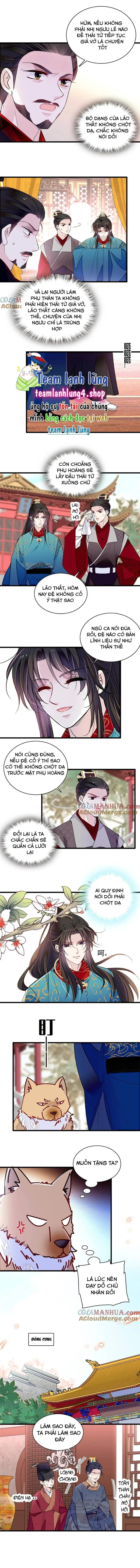 Tự Cẩm chương 248 - trang 3