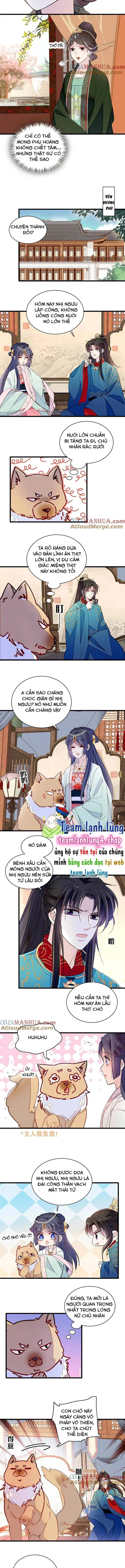 Tự Cẩm chương 248 - trang 5