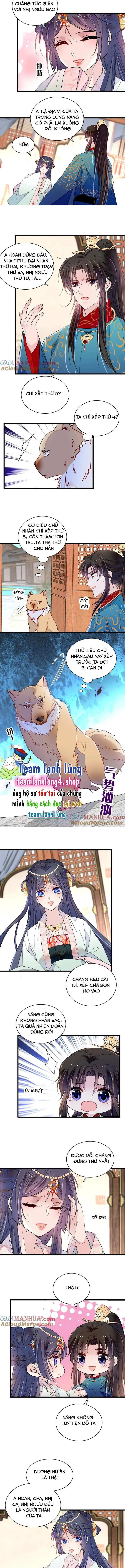 Tự Cẩm chương 248 - trang 6