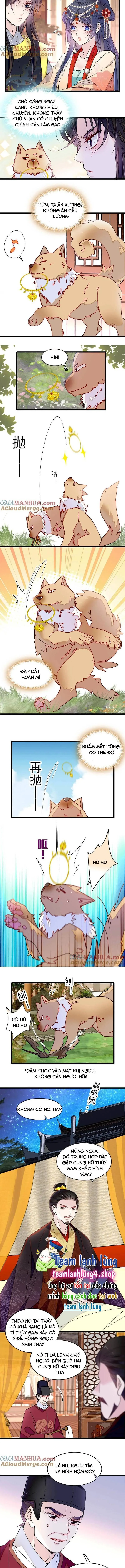 Tự Cẩm chương 260 - trang 4