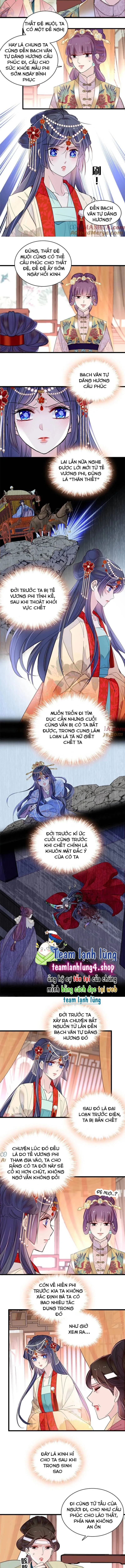 Tự Cẩm chương 267 - trang 4