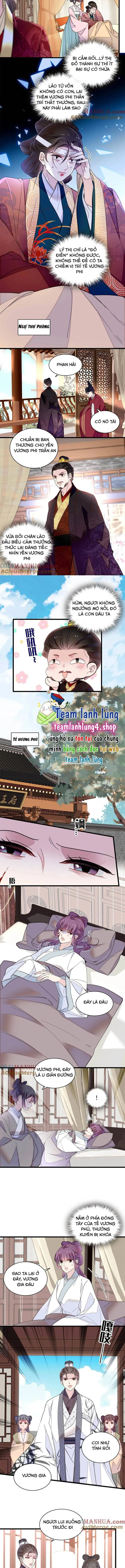 Tự Cẩm chương 274 - trang 5
