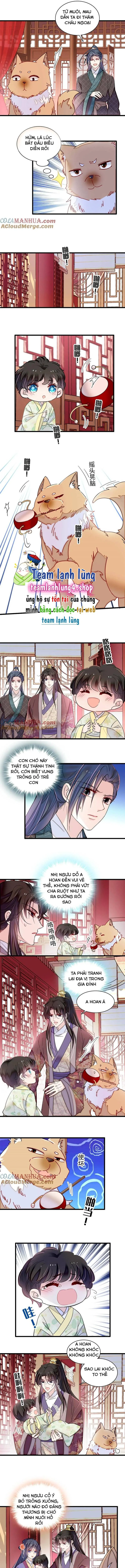 Tự Cẩm chương 304 - trang 5