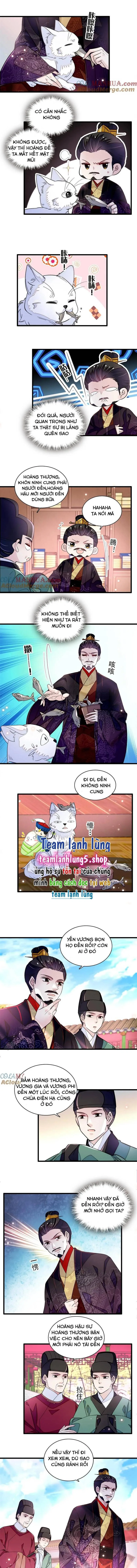 Tự Cẩm chương 323 - trang 5
