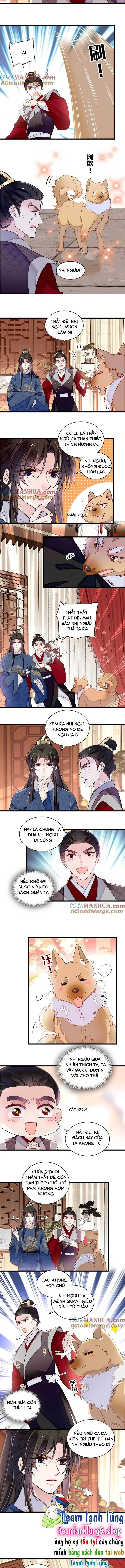 Tự Cẩm chương 329 - trang 5