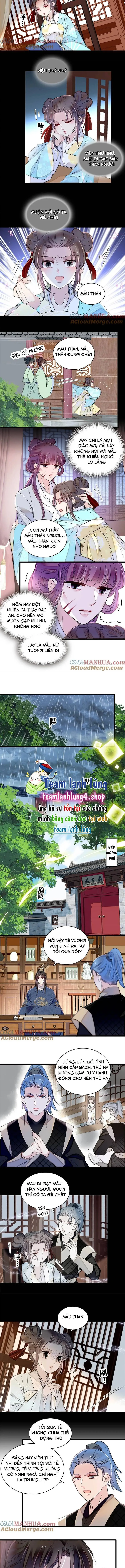 Tự Cẩm chương 337 - trang 4