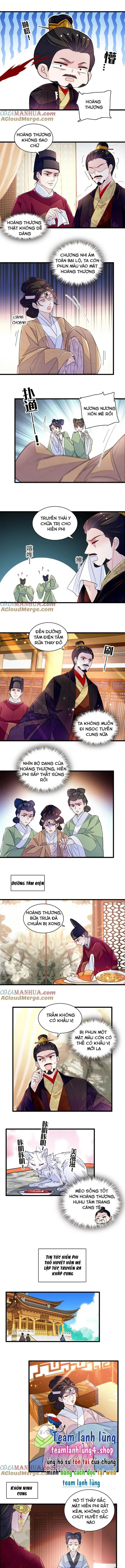 Tự Cẩm chương 342 - trang 6