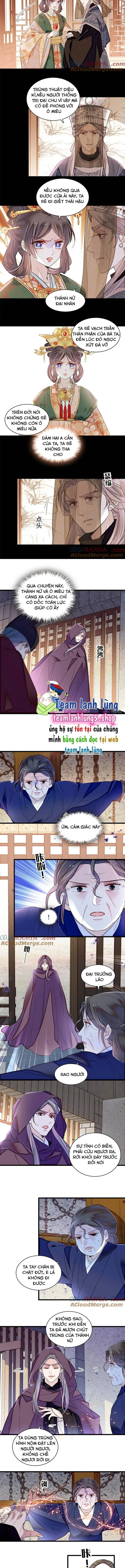 Tự Cẩm chương 378 - trang 4