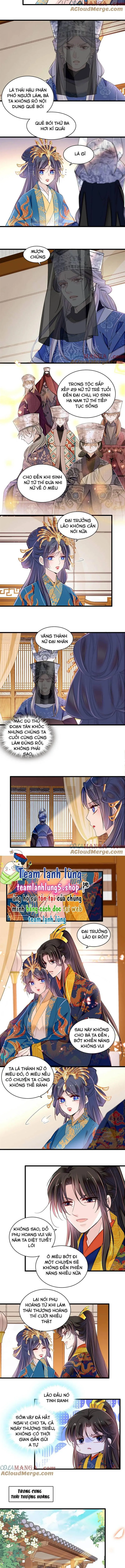 Tự Cẩm chương 386 - trang 5