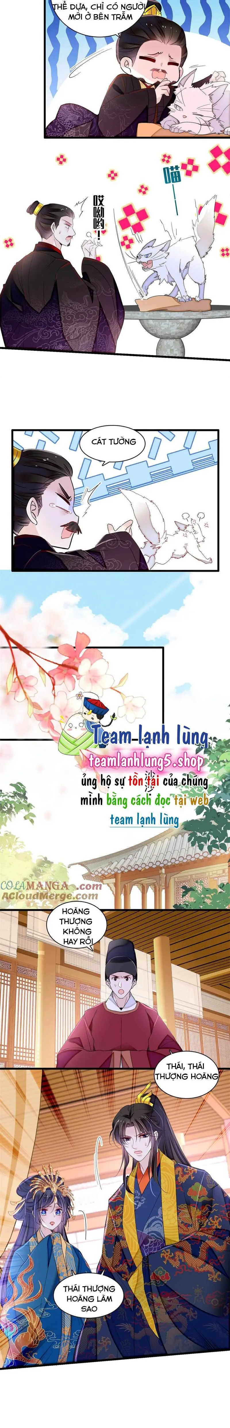 Tự Cẩm chương 386 - trang 7