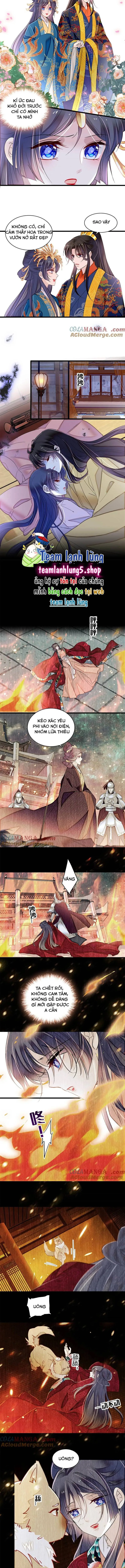 Tự Cẩm chương 387 - trang 4