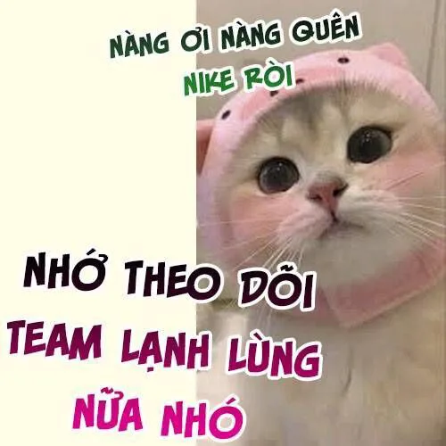 Tự Cẩm chương 394 - trang 8