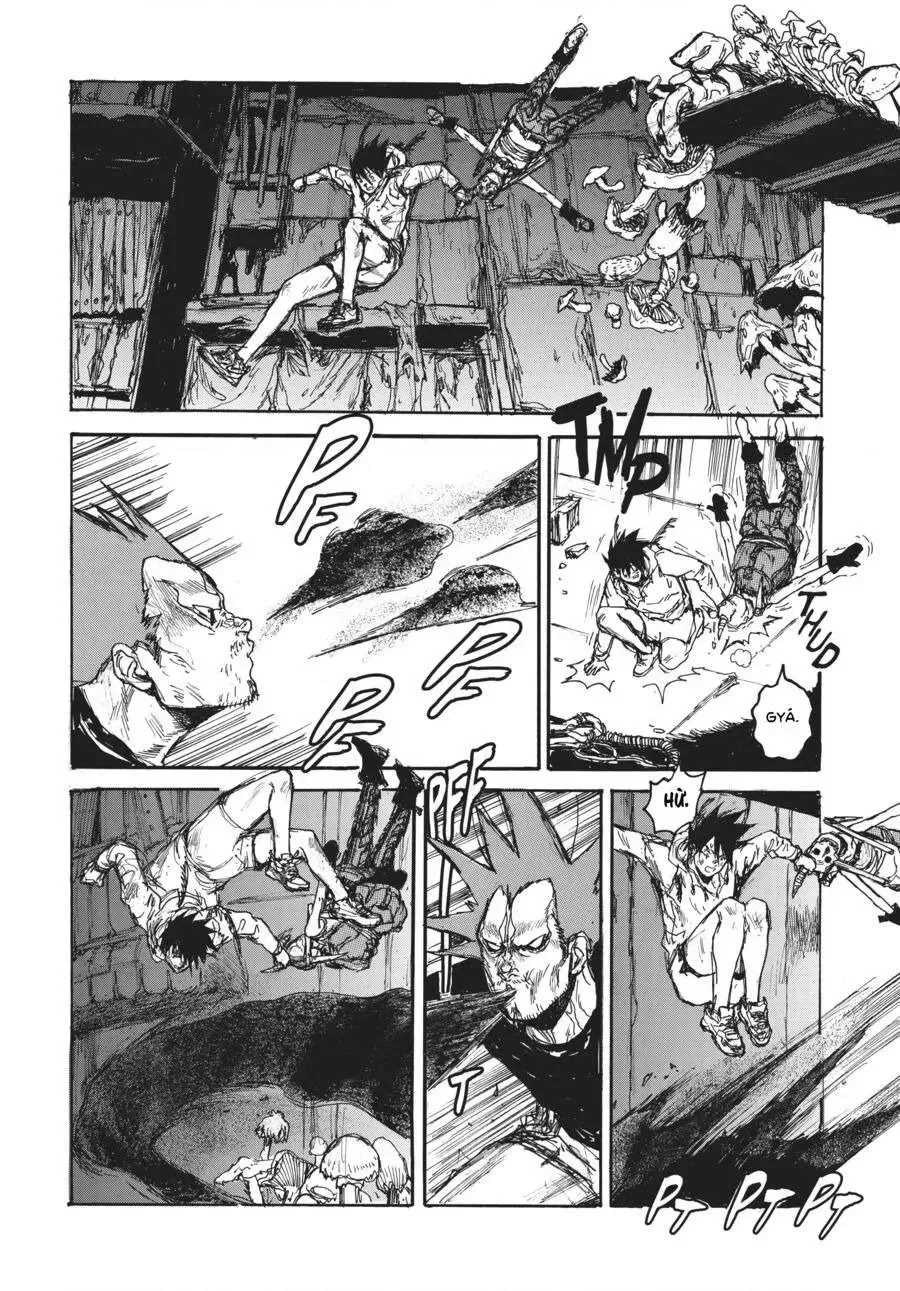 Dorohedoro chương 136 - trang 16