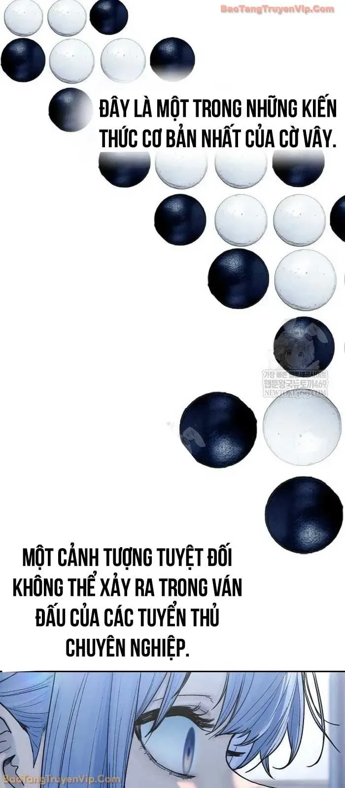 Thiếu Nữ Cờ Vây chương 12 - trang 2