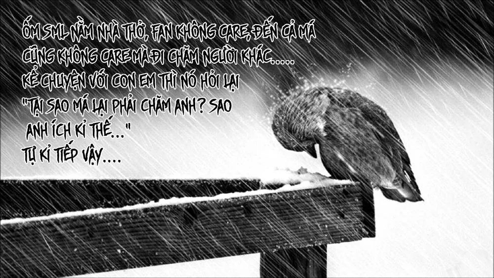Vùng Đất Ma Pháp chương 111 - trang 25