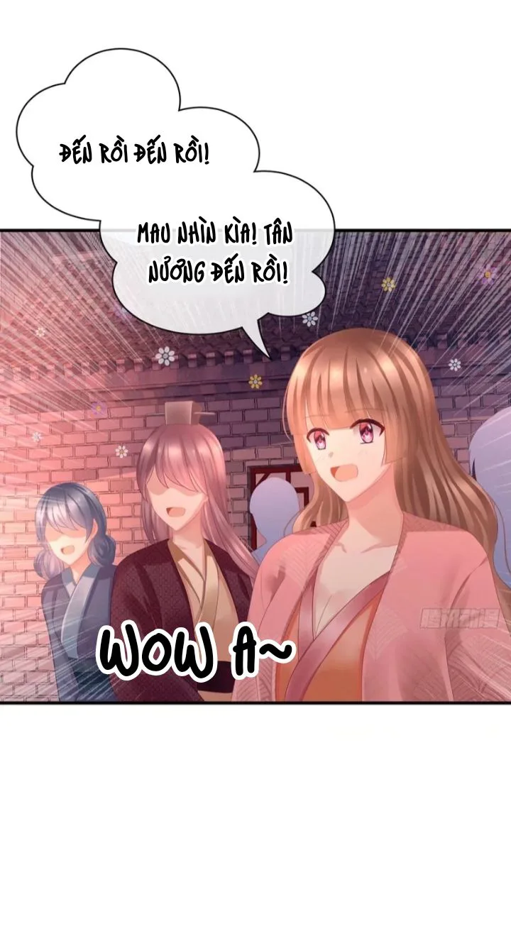 Hậu Cung Của Nữ Đế chương 53 - trang 10
