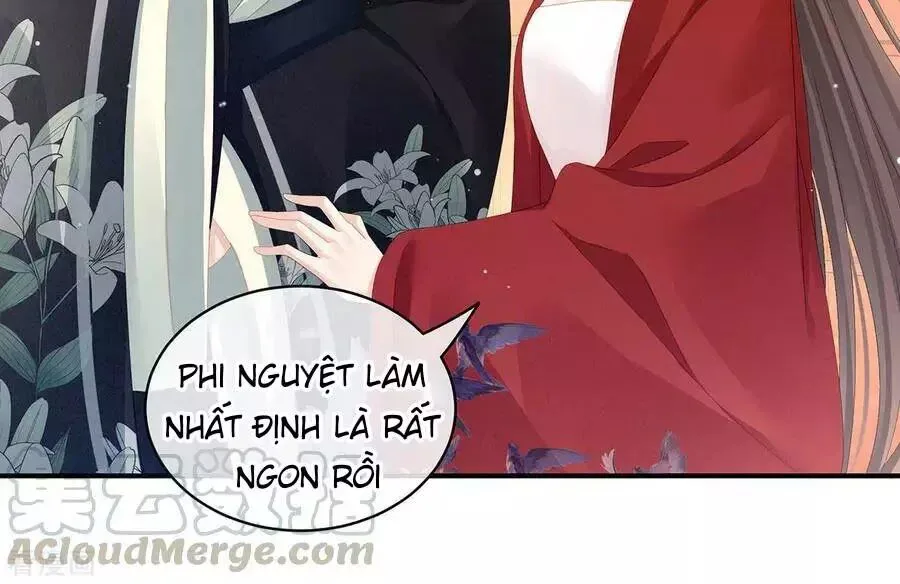 Hậu Cung Của Nữ Đế chương 82 - trang 61